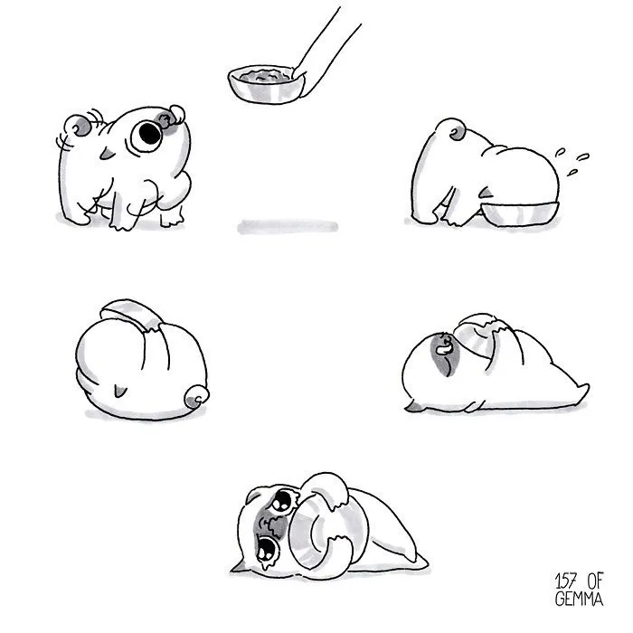 88 Adorable Comics That Hilariously Sum Up What It’s Like Living With A Dog (New Pics)