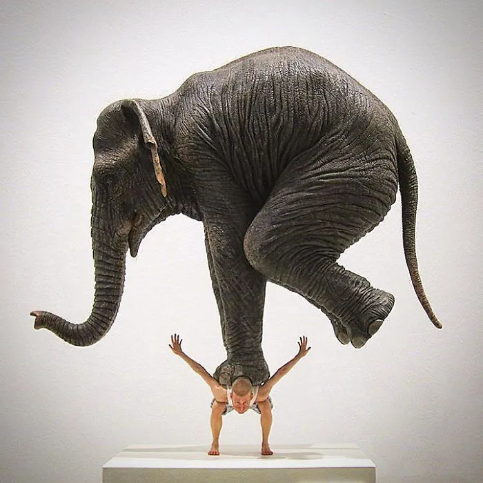 Pentateuque, Fabien Mérelle