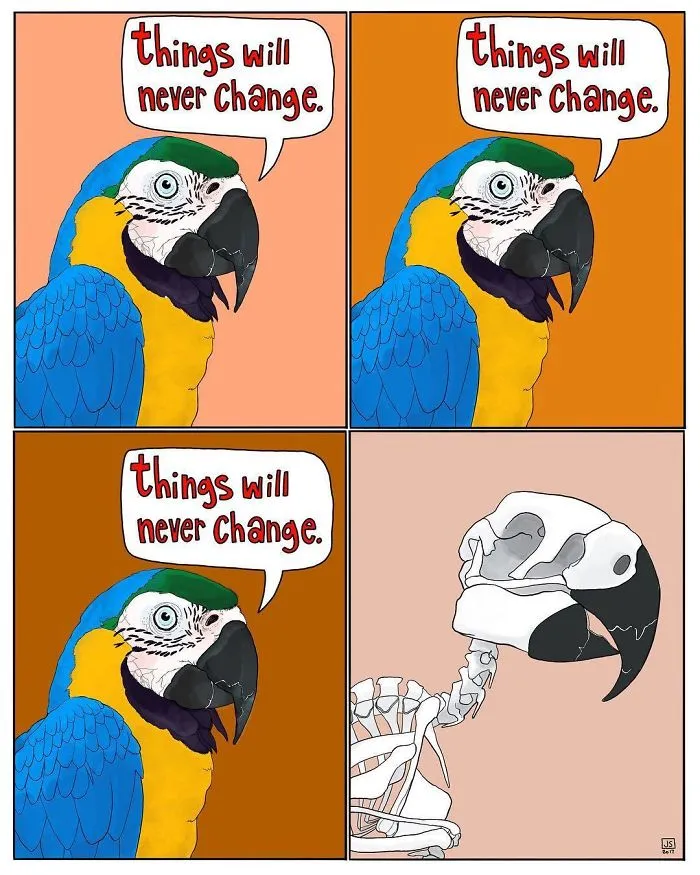 I Make Animal Comics To Cope With Anxiety