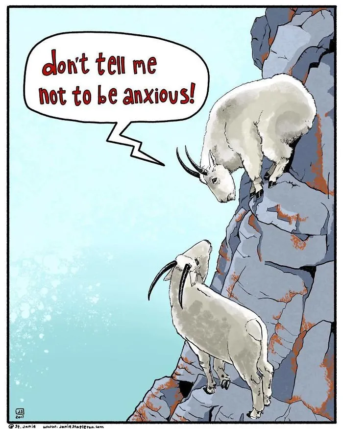 I Make Animal Comics To Cope With Anxiety