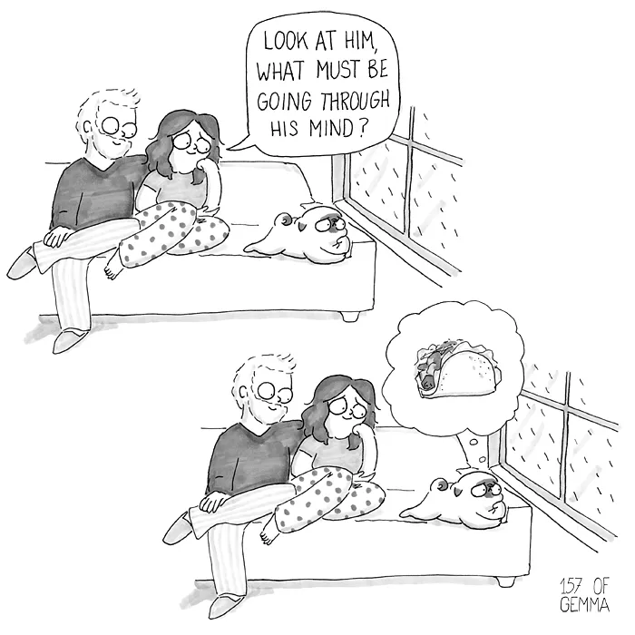 88 Adorable Comics That Hilariously Sum Up What It’s Like Living With A Dog (New Pics)