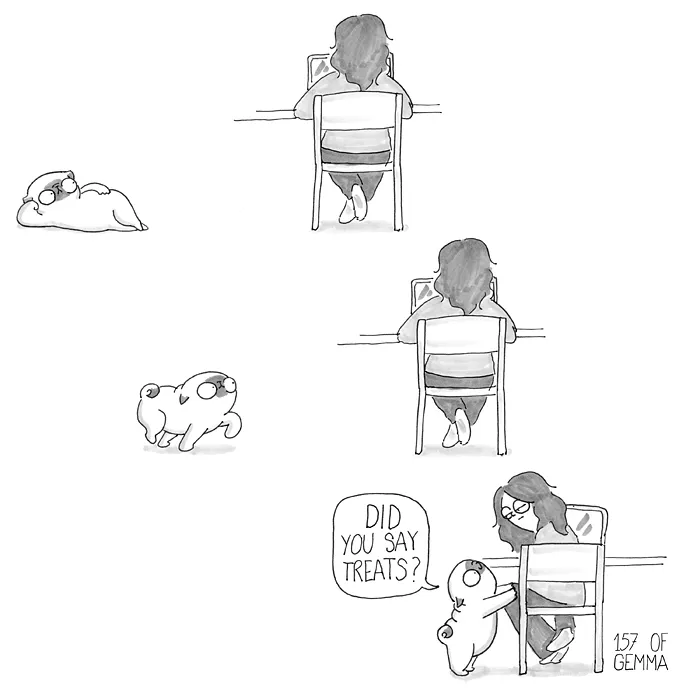 88 Adorable Comics That Hilariously Sum Up What It’s Like Living With A Dog (New Pics)