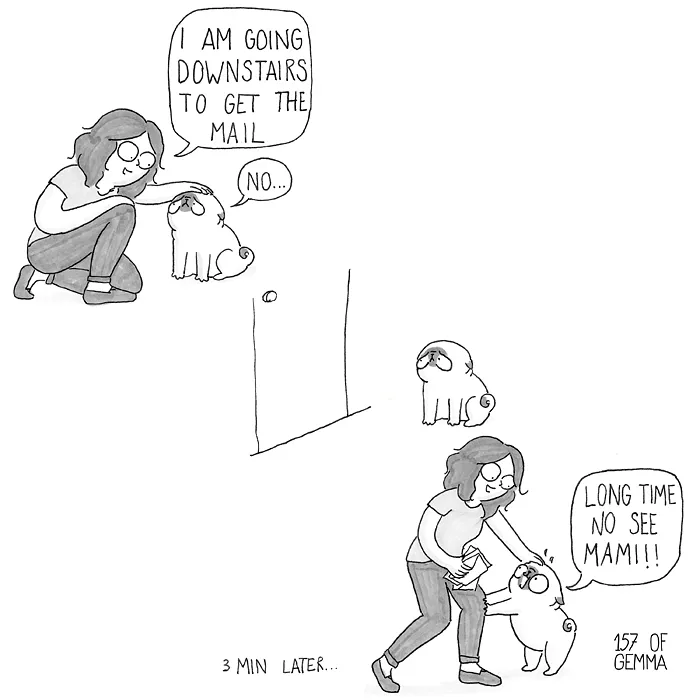 88 Adorable Comics That Hilariously Sum Up What It’s Like Living With A Dog (New Pics)