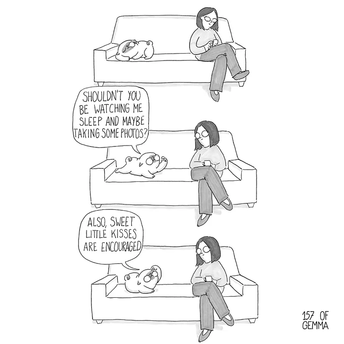 88 Adorable Comics That Hilariously Sum Up What It’s Like Living With A Dog (New Pics)