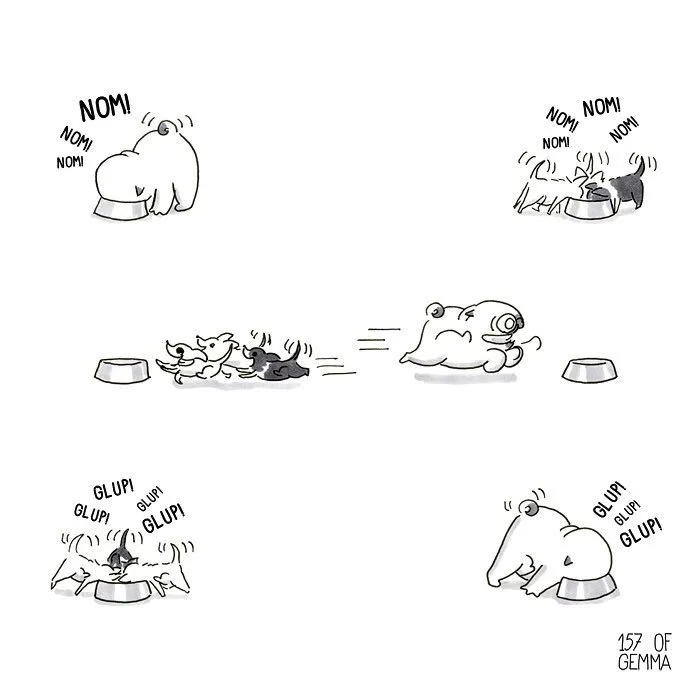 88 Adorable Comics That Hilariously Sum Up What It’s Like Living With A Dog (New Pics)