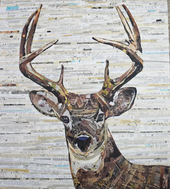 Whitetail Deer