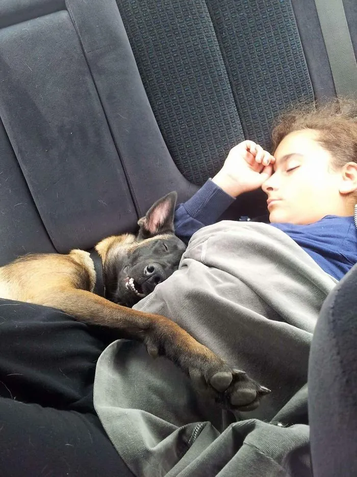 My Sleeping Beauties