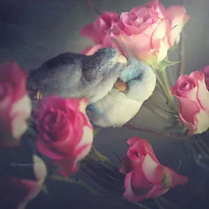 Freya Ever After