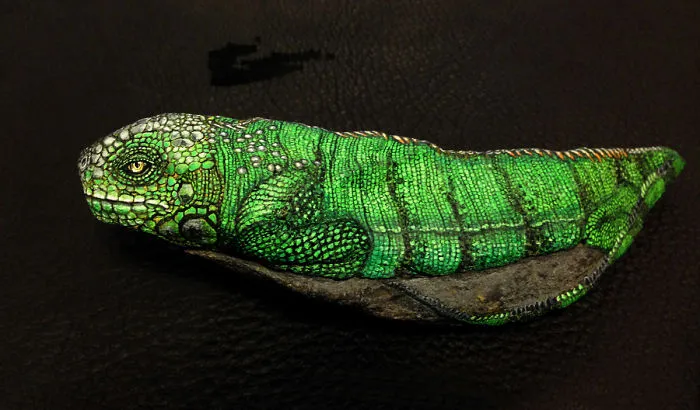 Green Iguana