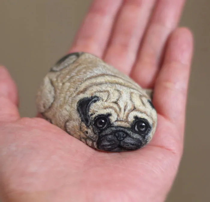 Pug