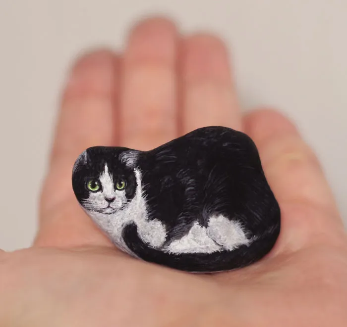 Tuxedo Cat