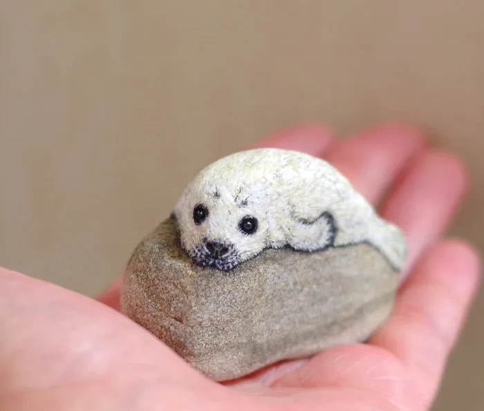 Cría de foca
