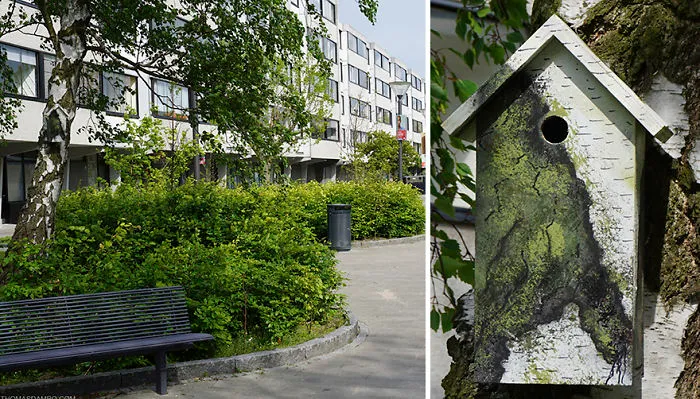 I Make Camouflage Birdhouses To Keep The City Birds Out Of Sight