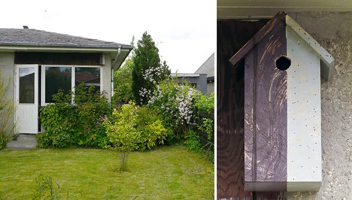 I Make Camouflage Birdhouses To Keep The City Birds Out Of Sight