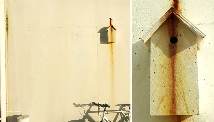I Make Camouflage Birdhouses To Keep The City Birds Out Of Sight