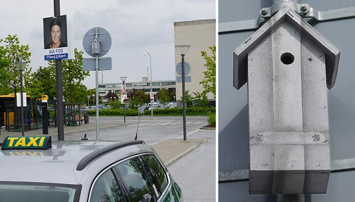 I Make Camouflage Birdhouses To Keep The City Birds Out Of Sight