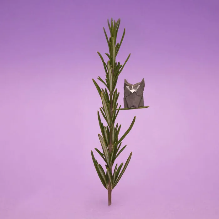 I Challenged Myself To Fold A Mini Origami Every Day For A Year