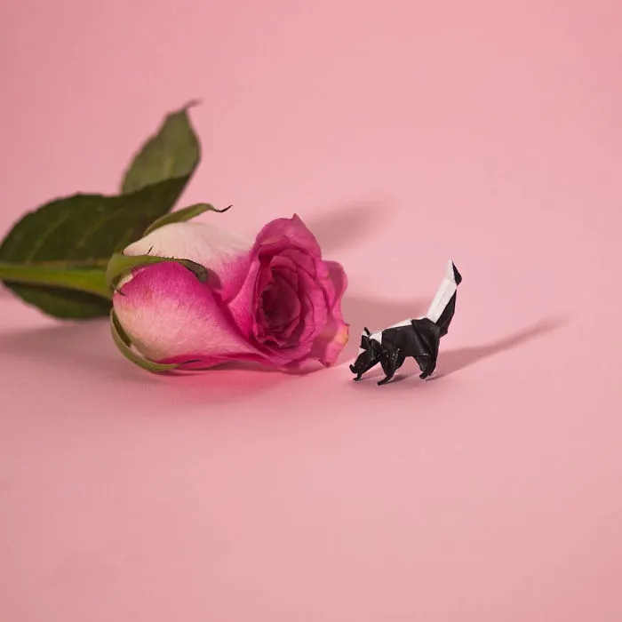 I Challenged Myself To Fold A Mini Origami Every Day For A Year