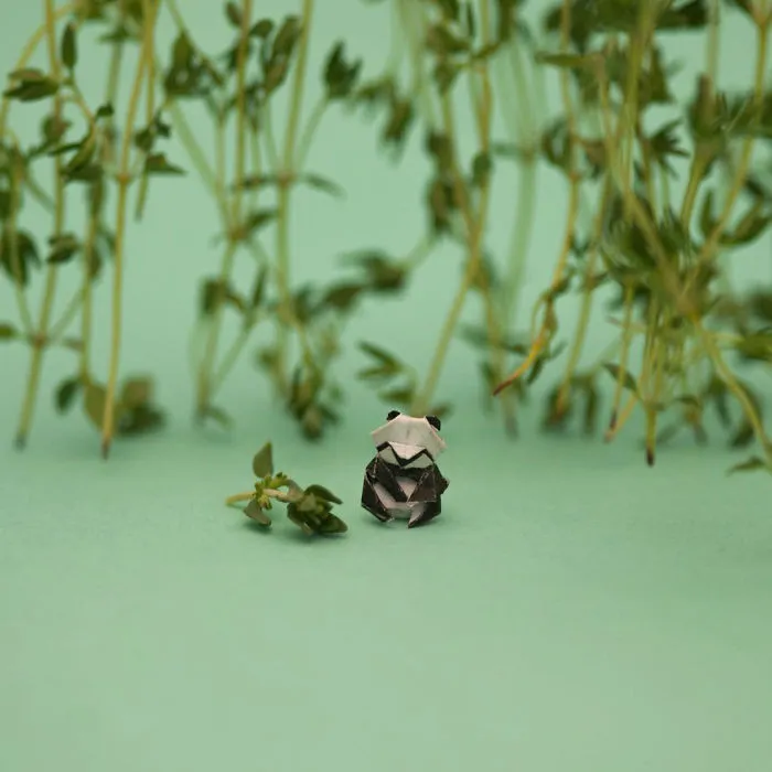 I Challenged Myself To Fold A Mini Origami Every Day For A Year