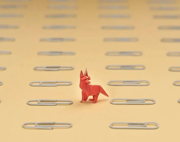 I Challenged Myself To Fold A Mini Origami Every Day For A Year