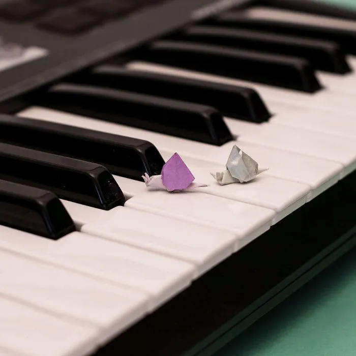 I Challenged Myself To Fold A Mini Origami Every Day For A Year
