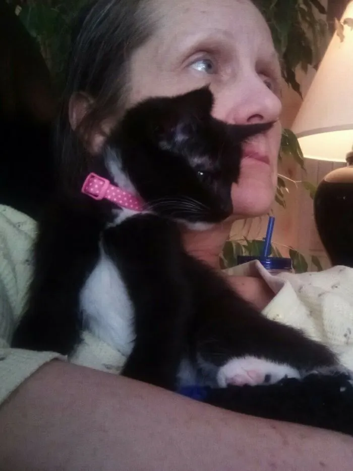 My New Girl Quinn