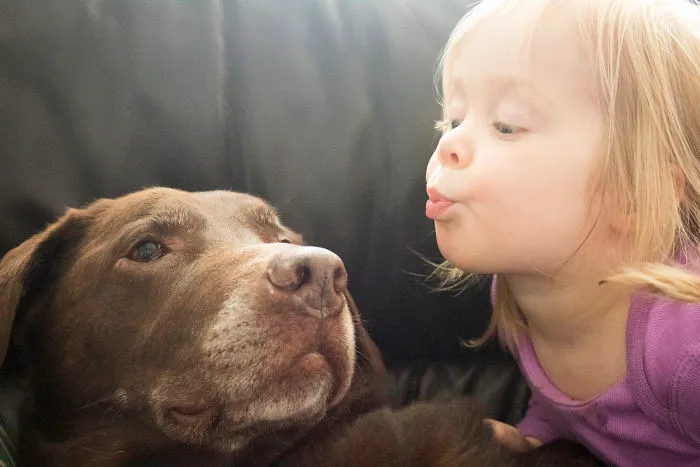 Kisses
