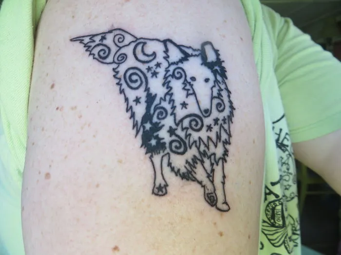 In Memory Of My Collie