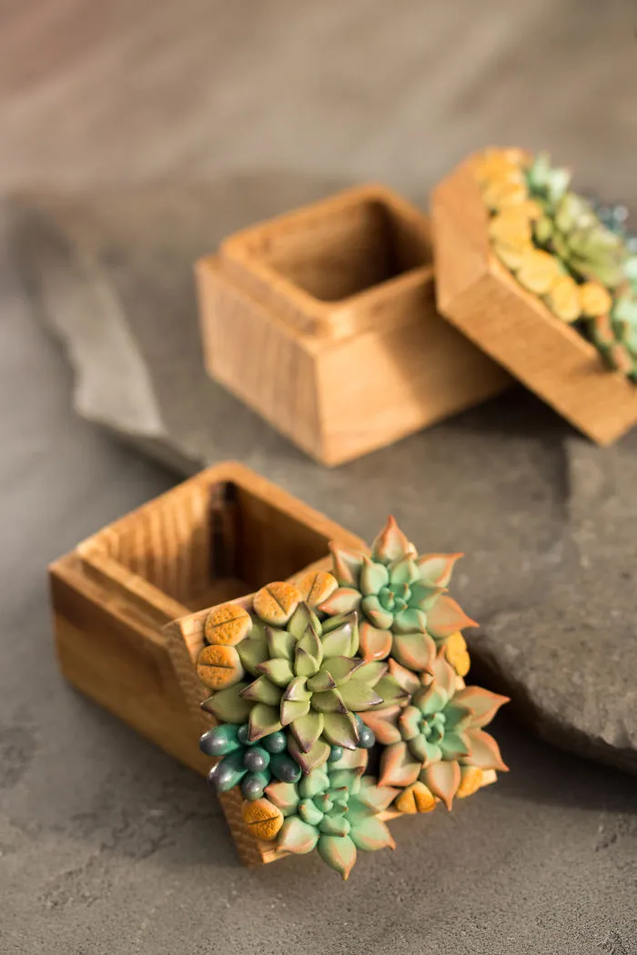 Polymer Clay And My Succulent Mania