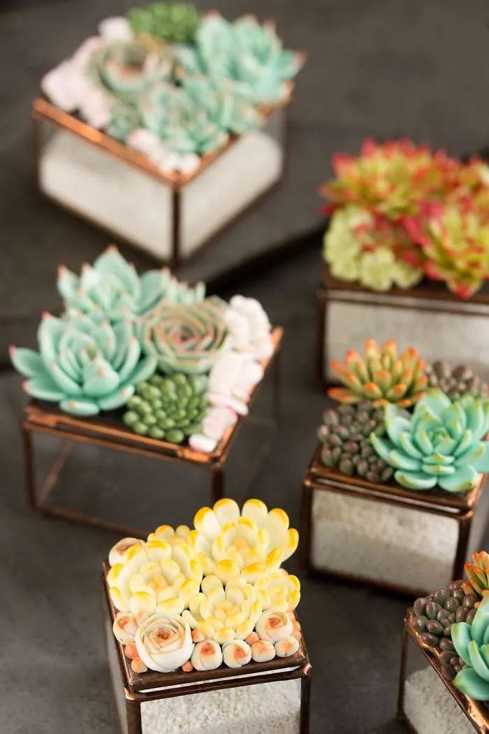 Polymer Clay And My Succulent Mania