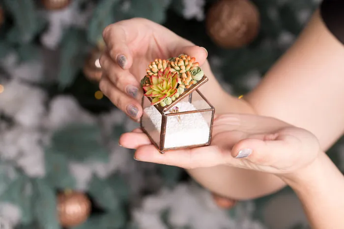 Polymer Clay And My Succulent Mania