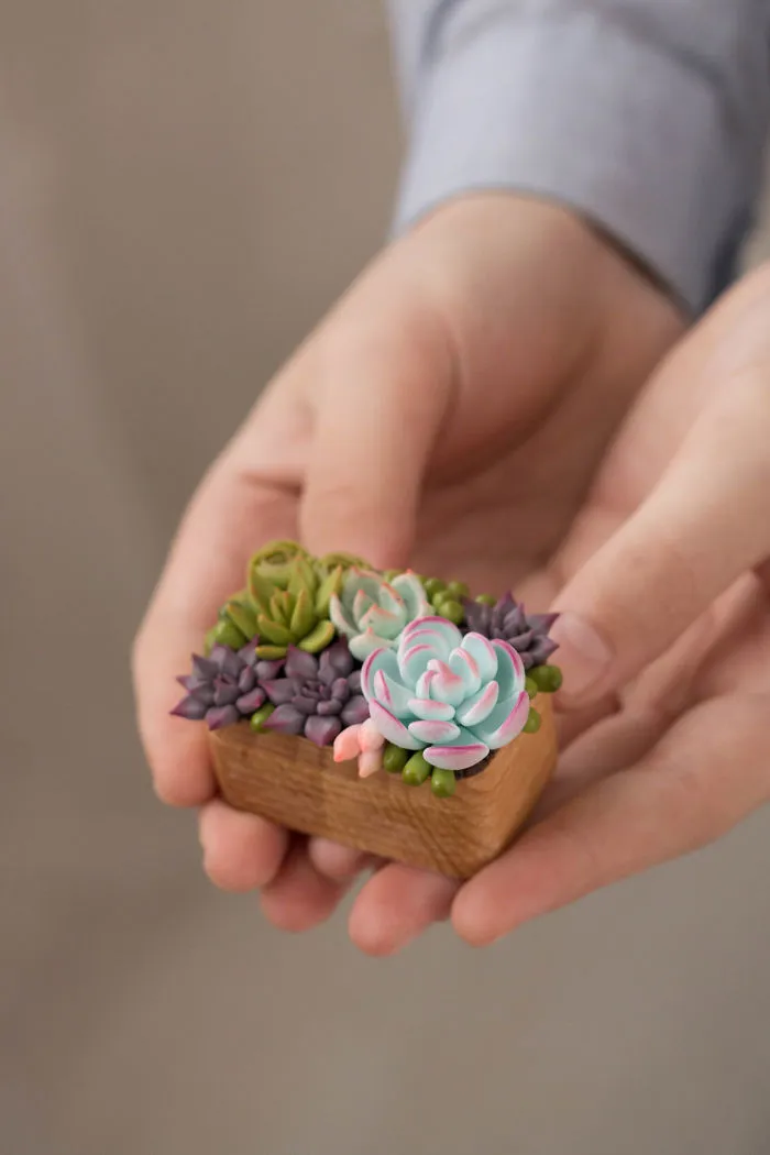 Polymer Clay And My Succulent Mania