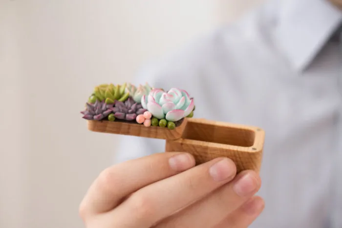 Polymer Clay And My Succulent Mania