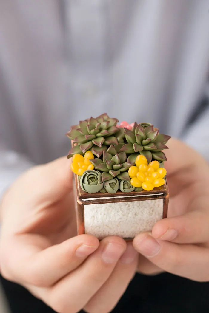 Polymer Clay And My Succulent Mania