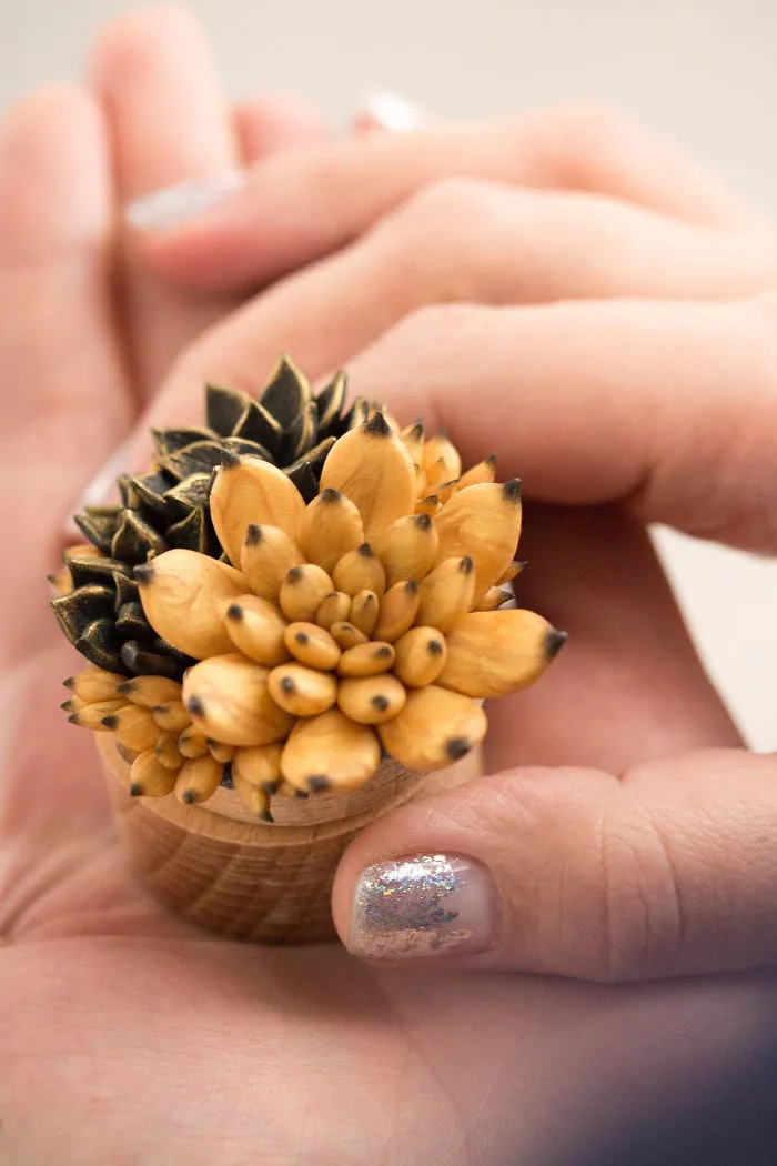 Polymer Clay And My Succulent Mania