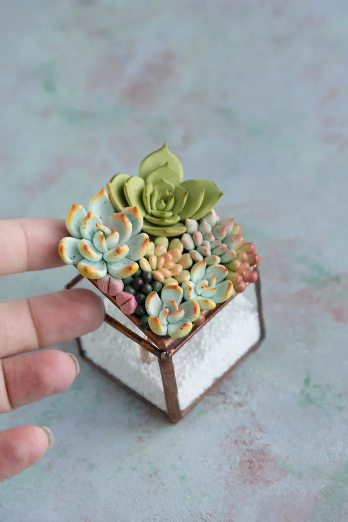 Polymer Clay And My Succulent Mania