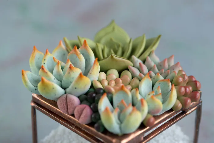 Polymer Clay And My Succulent Mania