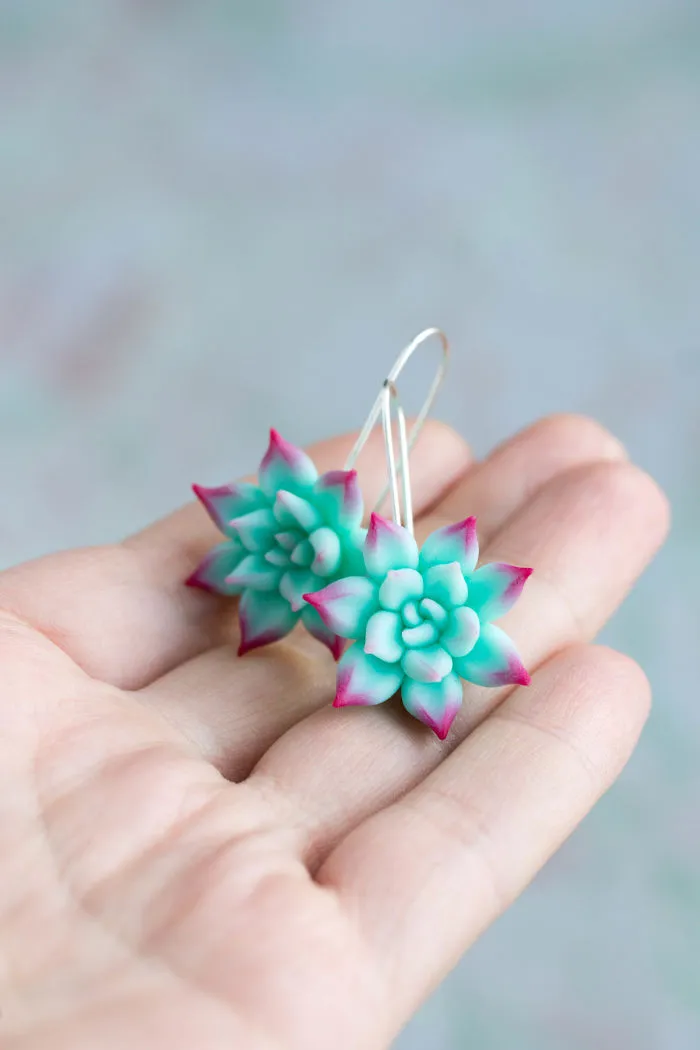 Polymer Clay And My Succulent Mania
