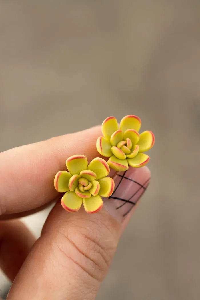 Polymer Clay And My Succulent Mania