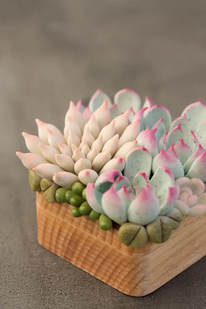 Polymer Clay And My Succulent Mania