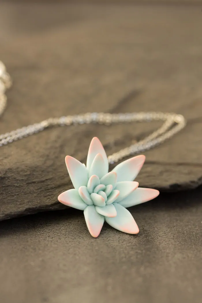 Polymer Clay And My Succulent Mania