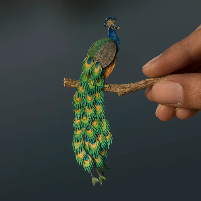 Peafowl (Peacock)