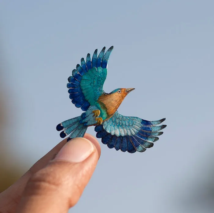 Indian Roller