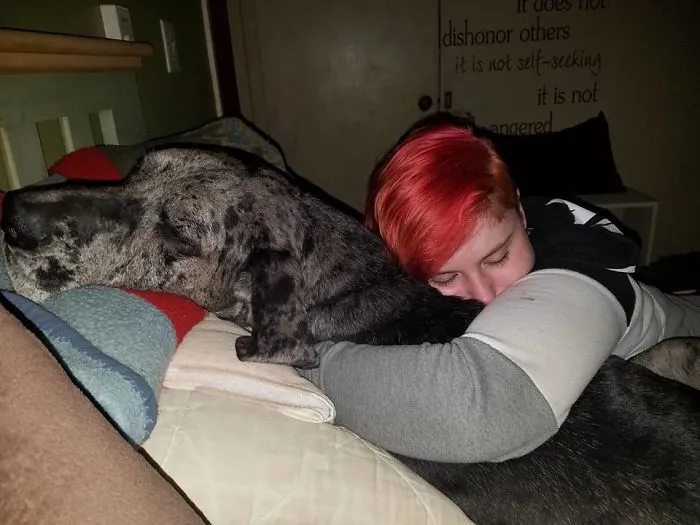 Just A Girl And Her Bff Great Dane Tiny