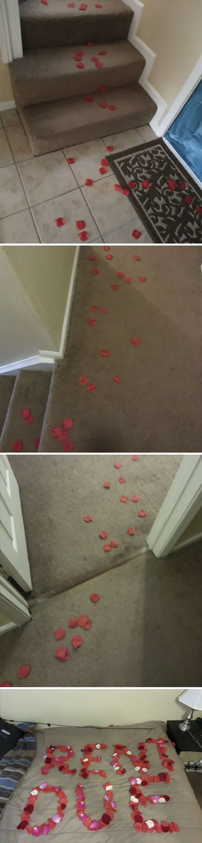 Sorpresa romántica para mi compañero: "PAGA LA RENTA"