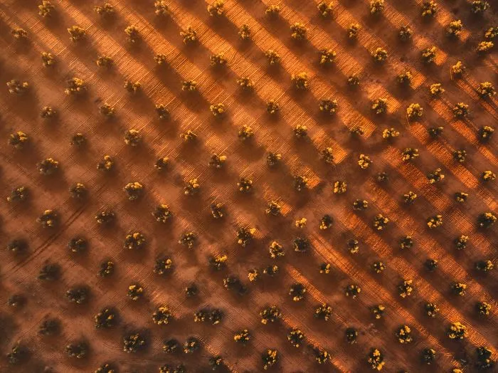 "Geometry Of Liquid Gold" By Javier Del Cerro, Second Prize In Landscape Category, Enthusiast Group