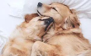 The Most Adorable Snuggling Sisters