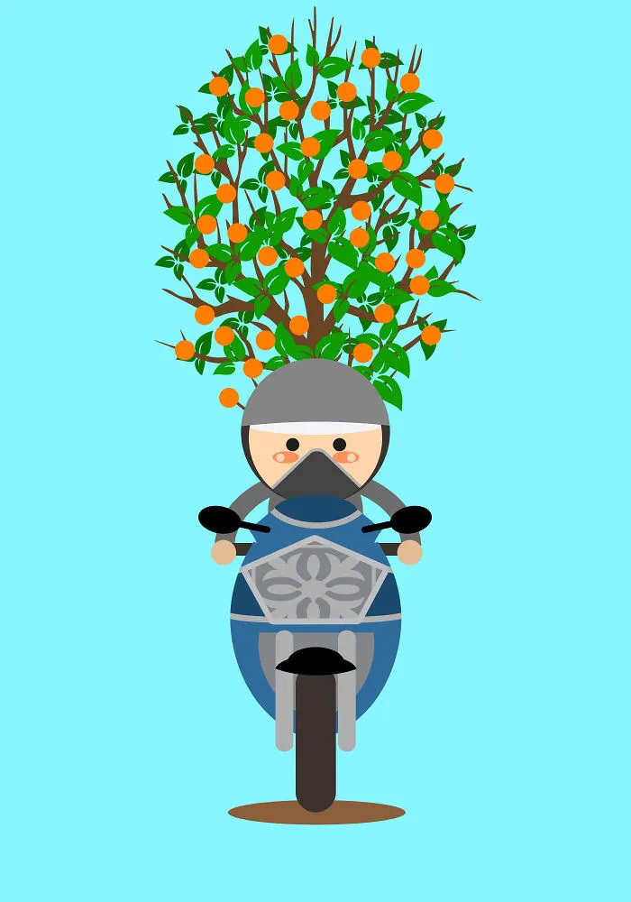 Money Tree