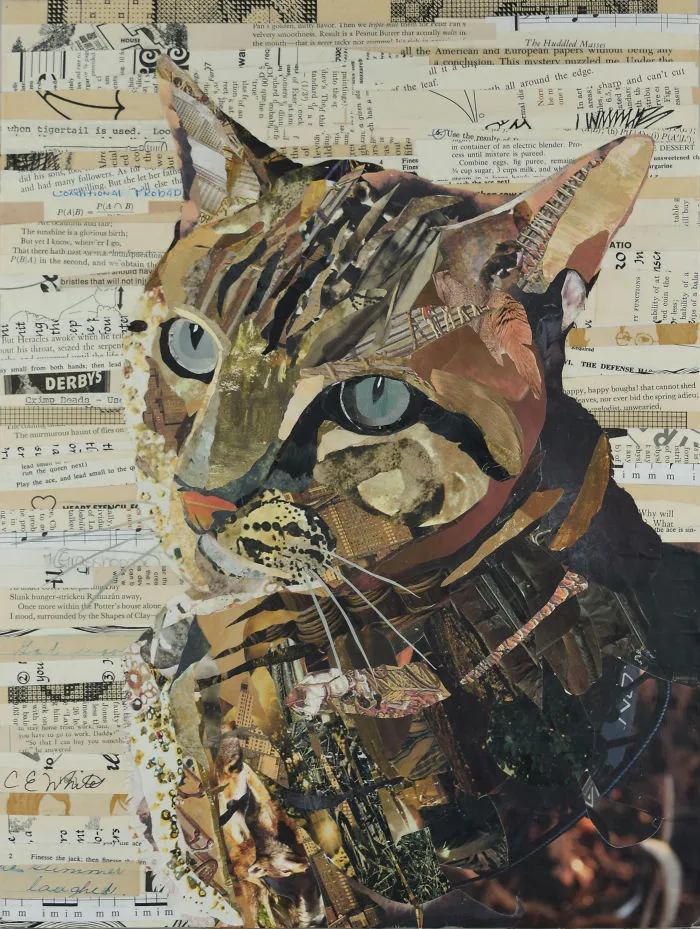 Beloved Cat