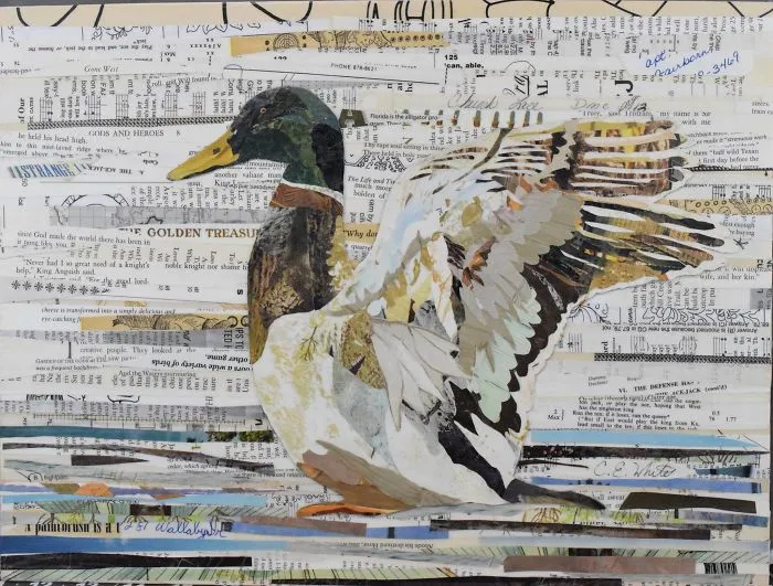 Duck